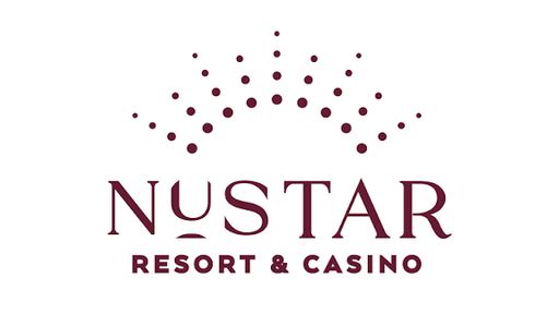 phnustarphapk.com Logo